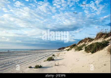 Strand, Corolla, Outer Banks, North Carolina, USA. Stockfoto