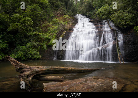 Helton Creek Falls sind im Union County, Georgia Von Helton Creek Road. Die Straße selbst ist ziemlich rau entweder aus Richtung, aber der Weg zu den Wasserfällen ist sehr kurz. Die obere Falls sind ca. 50 m hoch und sind eine sehr steile Rutsche mit einem großen Pool an der Unterseite. Die Lower Falls sind etwa 30 Fuß hoch und Kaskade aus einer relativ allmähliche Neigung zu einer anständigen Größe Pool an der Unterseite. Stockfoto