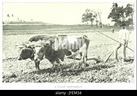 CLARK (1899) Kuba p239 eine kubanische Pflüger Stockfoto