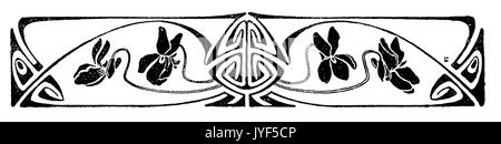 Violett Violett; Holz; sweet Violet, Englisch violett, Violett Stockfoto