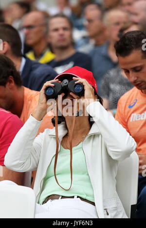 Zuschauer genießen die Leichtathletik in der Leichtathletik-WM 2017, Queen Elizabeth Olympic Park, Stratford, London, UK. Stockfoto