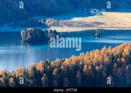 Nebel über der blauen See Sils und die bunten Wälder von Herbst Maloja Kanton Graubünden Engadin Schweiz Europa Stockfoto