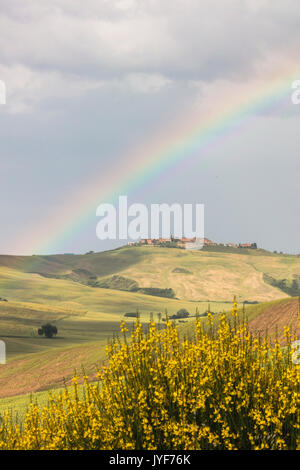 Gelbe Blumen und Regenbogen Rahmen die grünen Hügel der Crete Senesi (Senese Tone) Provinz Siena Toskana Italien Europa Stockfoto