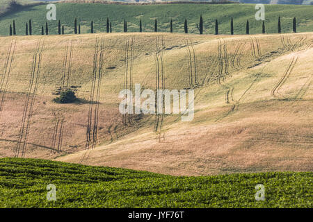 Die geschwungenen Formen der bunten Hügel von der Crete Senesi (Senese Tone) Provinz von Siena Toskana Italien Europa Stockfoto