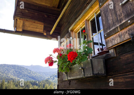 Dp Fenster, Oberbayern, Deutschland Stockfoto