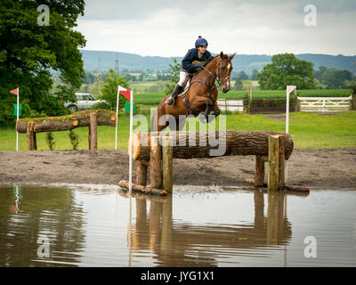 Ein Reiter führt einen Sprung bei einem Pferderennen in Somerset, Großbritannien Stockfoto