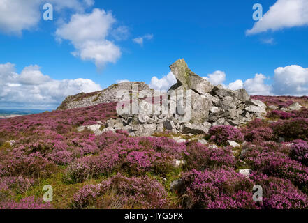 Diamond Rock und Sattel Rock auf der Stiperstones, Shropshire, England, Großbritannien Stockfoto