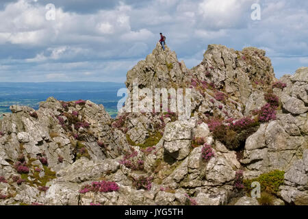 Ein Wanderer auf den Stuhl des Teufels, Stiperstones, Shropshire, England, Großbritannien Stockfoto