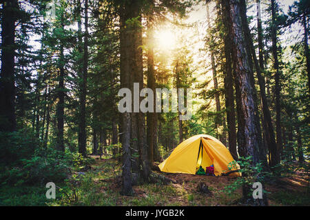 Schöne Sonnenstrahlen durch den nebligen Wald. Erstaunliche Szene der Campingplatz im Park mit Sonne und Nebel. Morgen Schatten und Lichter, sun Harfe aus Holz Stockfoto