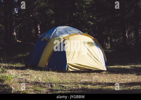 Abenteuer Camping Zelt unter den Kiefernwald in der Nähe von Wasser im Freien in Morgen- und Sonnenuntergang Pine Forest Park, Stockfoto