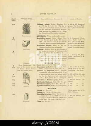 Ein Katalog der Sammlung von Kambrium, Silur Fossilien im Geologischen Museum der Universität von Cambridge (Seite 2) BHL 13770007 enthalten Stockfoto