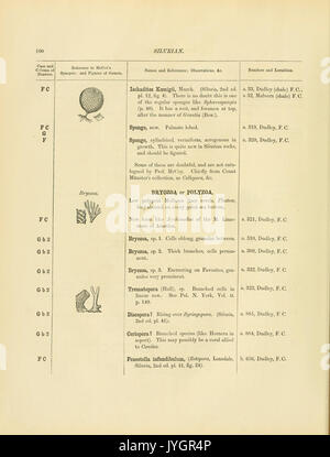 Ein Katalog der Sammlung von Kambrium, Silur Fossilien im Geologischen Museum der Universität von Cambridge (Seite 100) BHL 13770128 enthalten Stockfoto