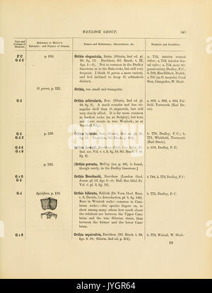 Ein Katalog der Sammlung von Kambrium, Silur Fossilien im Geologischen Museum der Universität von Cambridge (Seite 145) BHL 13770173 enthalten Stockfoto