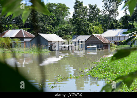 Dhaka, Bangladesch. 19 Aug, 2017. Häuser unter Wasser bei Hochwasser auf Dohar, Dhaka, Bangladesh, 19. August 2017. Im Norden, Nordosten und zentralen Teil der Bangladesh erleben Hochwasser- und mehr als 4 Millionen Menschen sind davon betroffen werden. Credit: SK Hasan Ali/Alamy leben Nachrichten Stockfoto