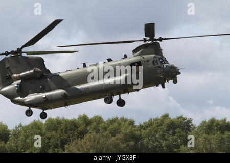 Biggin Hill, Großbritannien. 19 Aug, 2017. Chinook Hubschrauber wird am Flughafen London Biggin Hill Festival der Flug. Die Airshow ist in diesem Jahr über zwei Tage verteilt mit riesige Menschenmengen an beiden Tagen erwartet. Der Höhepunkt des Tages war eine Anzeige von der weltbekannten roten Pfeile. Credit: Keith Larby/Alamy leben Nachrichten Stockfoto