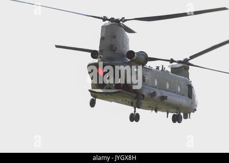 Biggin Hill, Großbritannien. 19 Aug, 2017. Chinook Hubschrauber wird am Flughafen London Biggin Hill Festival der Flug. Die Airshow ist in diesem Jahr über zwei Tage verteilt mit riesige Menschenmengen an beiden Tagen erwartet. Der Höhepunkt des Tages war eine Anzeige von der weltbekannten roten Pfeile. Credit: Keith Larby/Alamy leben Nachrichten Stockfoto