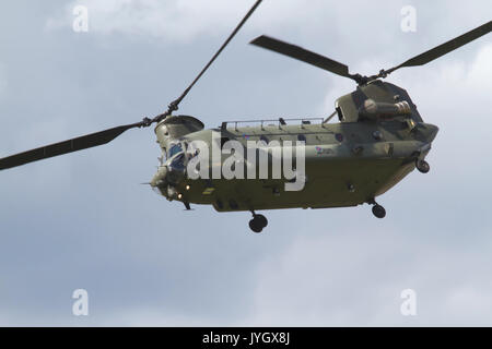 Biggin Hill, Großbritannien. 19 Aug, 2017. Chinook Hubschrauber wird am Flughafen London Biggin Hill Festival der Flug. Die Airshow ist in diesem Jahr über zwei Tage verteilt mit riesige Menschenmengen an beiden Tagen erwartet. Der Höhepunkt des Tages war eine Anzeige von der weltbekannten roten Pfeile. Credit: Keith Larby/Alamy leben Nachrichten Stockfoto