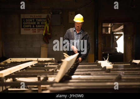 (170819) - Toronto (Kanada), August 19, 2017 (Xinhua) - ein Arbeitnehmer, der Prozesse eine Platine ein schnittholz hersteller von Murray Brüder Lumber Company in Ontario, Kanada, am 12.08.16., 2017. Die Usa eröffnete die 23-jährige North American Free Trade Agreement (NAFTA) Nachverhandlungen Mittwoch mit einer Erklärung, dass es für grössere Änderungen an der Vereinbarung, die Verschiebungen in der Handelsbilanz. Aber, kanadischer Unternehmer hoffen US-Unterhändler empfänglich wird für die Aufrechterhaltung, wenn nicht verbessern, wird der aktuelle Fluss von Waren und der Arbeitnehmer über die Grenze hinweg. Fehden über Nadelschnittholz haben eine neu Stockfoto
