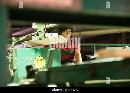 (170819) - Toronto (Kanada), August 19, 2017 (Xinhua) - Ein Arbeitnehmer macht Qualitätsprüfung für Platten an einem schnittholz hersteller von Murray Brüder Lumber Company in Ontario, Kanada, am 12.08.16., 2017. Die Usa eröffnete die 23-jährige North American Free Trade Agreement (NAFTA) Nachverhandlungen Mittwoch mit einer Erklärung, dass es für grössere Änderungen an der Vereinbarung, die Verschiebungen in der Handelsbilanz. Aber, kanadischer Unternehmer hoffen US-Unterhändler empfänglich wird für die Aufrechterhaltung, wenn nicht verbessern, wird der aktuelle Fluss von Waren und der Arbeitnehmer über die Grenze hinweg. Fehden über Weichholz lum Stockfoto