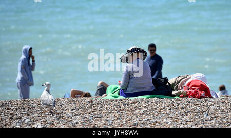 Brighton, UK. 20 Aug, 2017; UK Wetter. Brighton Beach liegt an einem schönen, sonnigen Tag mit Temperaturen erwartet, um 23 Grad in einigen Teilen der Südosten erreichen heute: Simon Dack/Alamy Live-Nachrichten verpackt Stockfoto