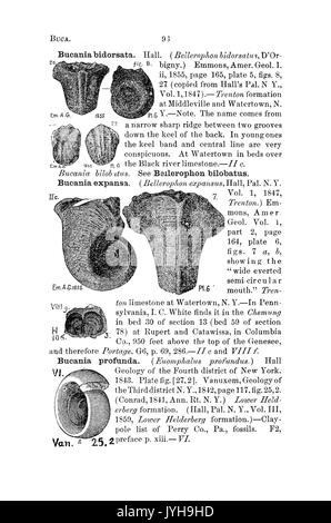 Ein Wörterbuch der Fossilien von Pennsylvania und Nachbarstaaten in die Berichte und Kataloge der Umfrage benannt (Seite 96) BHL 42416967 Stockfoto