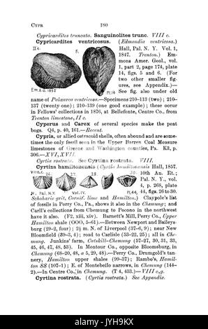 Ein Wörterbuch der Fossilien von Pennsylvania und Nachbarstaaten in die Berichte und Kataloge der Umfrage benannt (Seite 180) BHL 42417051 Stockfoto