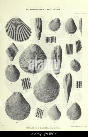 Eine Monographie der Kreidezeit Lamellibranchia von England BHL 20736632 Stockfoto