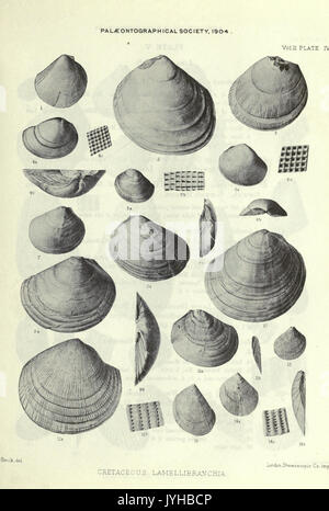 Eine Monographie der Kreidezeit Lamellibranchia von England BHL 20736636 Stockfoto