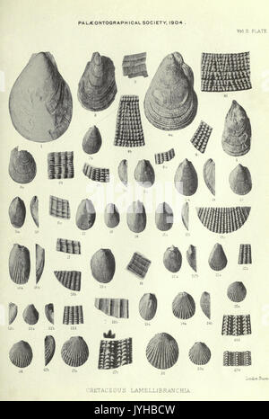 Eine Monographie der Kreidezeit Lamellibranchia von England BHL 20736642 Stockfoto