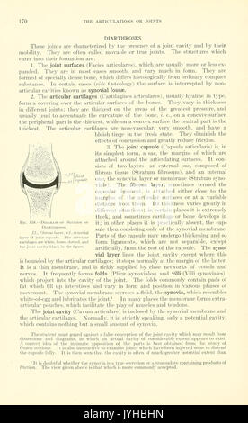 Ein Lehrbuch der tierärztlichen Anatomie (Seite 170) BHL 18587294 Stockfoto