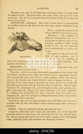 Eine Abhandlung über das Pferd und seine Krankheiten (Seite 13) BHL 23708803 Stockfoto