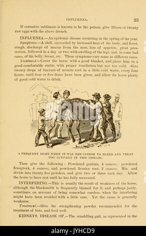 Eine Abhandlung über das Pferd und seine Krankheiten (Seite 23) BHL 23708813 Stockfoto