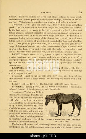 Eine Abhandlung über das Pferd und seine Krankheiten (Seite 25) BHL 23708815 Stockfoto