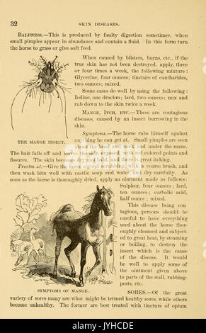 Eine Abhandlung über das Pferd und seine Krankheiten (Seite 32) BHL 23708822 Stockfoto