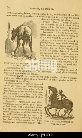 Eine Abhandlung über das Pferd und seine Krankheiten (Seite 24) BHL 18632993 Stockfoto