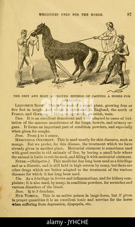 Eine Abhandlung über das Pferd und seine Krankheiten (Seite 87) BHL 18633056 Stockfoto