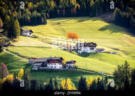 Herbstliche Landschaft mit Hütten und Bäume. Santa Maddalena, Funes, Bozen, Trentino Alto Adige, Südtirol, Italien, Europa. Stockfoto