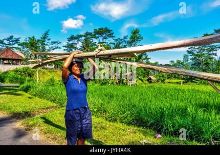 Asien, Südostasien, Indonesien, Bali. Sidemen. Frau in Transport von Schnittholz. Stockfoto