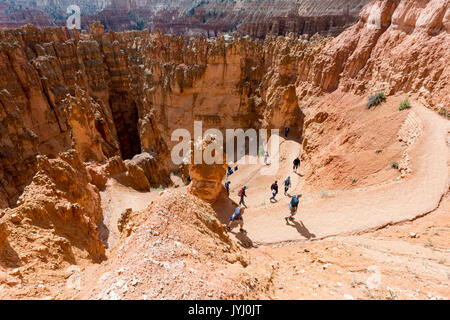 Wanderer auf Wall Street Teil der Navajo Loop Trail. Bryce Canyon Nationalpark, Garfield County, Utah, USA. Stockfoto