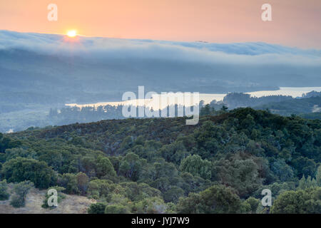 Nebel über den Hügeln in einer dicken, weißen Decke. Stockfoto