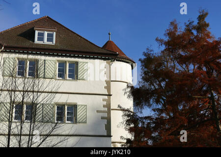 2016.12.28.133656 Wasserschloss (Wasserschloss) Bad Rappenau Stockfoto