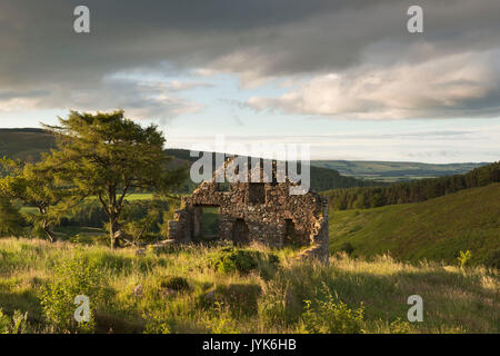 Eine Ruine auf dem Weg über Clatterin Brig, in Richtung Howe der Mearns & Strathmore Stockfoto