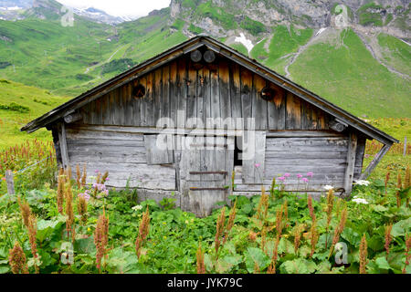 Scheune fotografiert in Engelberg in der Schweiz in den Schweizer Alpen in eine Almwiese Stockfoto