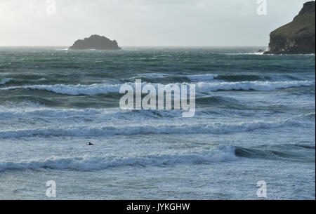 Ein einsamer Surfer trotzen die Wellen und die Brandung Brandung am Polzeath an der Küste von North Cornwall nur Surfer im Meer das Tragen von Neoprenanzug rauhes Wetter Stockfoto