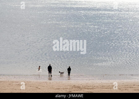 Paar mit Hunden am Strand mit glitzernden Meer North East England, Großbritannien Stockfoto