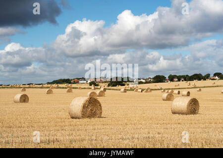 Field with hay bales after harvest, Whitburn, South Tyneside, England, UK Stockfoto
