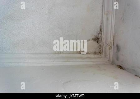 Regenwasser eindringen und Leck innerhalb eines Hauses Dach weiße Wand Stockfoto