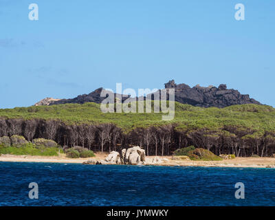 Italien, Sardinien - Palau. Anzeigen von Punta Nera mit Pinienwäldern und Felsen, die wie Baden Elefanten sehen. Stockfoto