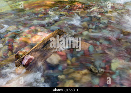 Das kristallklare Wasser von Wilbur Creek hetzt über bunte Fluss Felsen im Glacier National Park, Montana Stockfoto