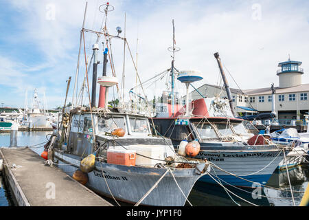 Zwei alte Schiffe am Hafen von Seattle's Fischer Terminal Stockfoto